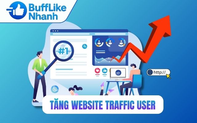 mua Website Traffic User
