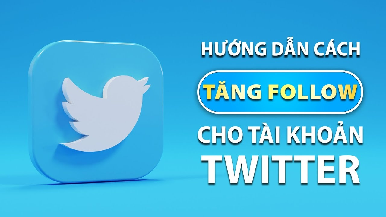 tăng follow Twitter